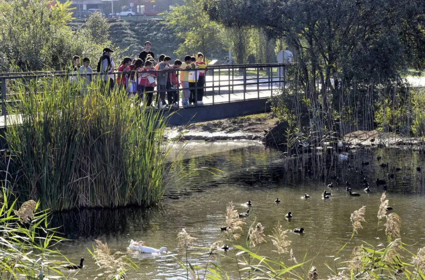 Noticias de Cantabria | El Cántabro | Licitada la redacción del Plan de Infraestructura Verde Santander Capital Natural