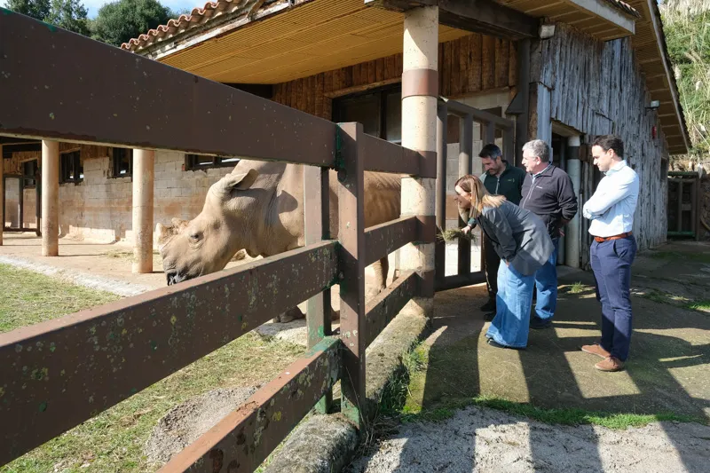 Noticias de Cantabria | El Cántabro | El Parque de la Naturaleza de Cabárceno incorpora una nueva hembra de rinoceronte blanco