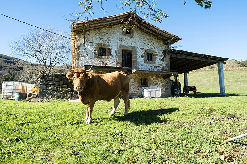  Desarrollo Rural abona más de 9 millones de euros por el anticipo comprometido con la Mesa Regional Agraria