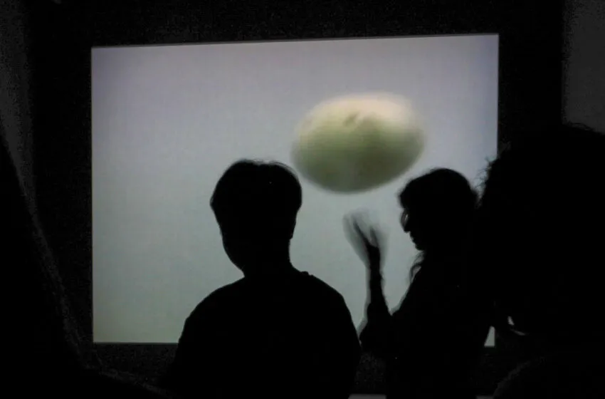  EXPLORA LA CONEXIÓN ENTRE ARTE Y CIENCIA CON LA PROPUESTA “¿NOS HACEMOS PREGUNTAS?” DEL CENTRO BOTÍN