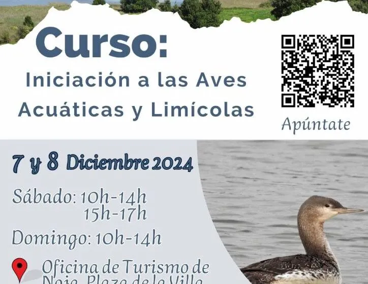  Noja acoge este fin de semana un curso de iniciación a aves acuáticas y limícolas