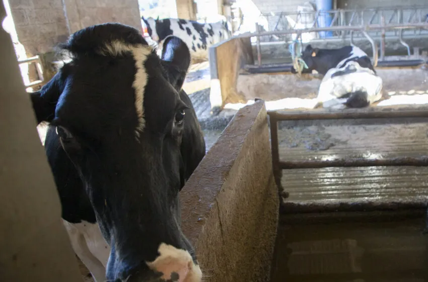  Desarrollo Rural confirma descensos superiores al 60 por ciento en las cifras globales de la EHE este año frente al 2023