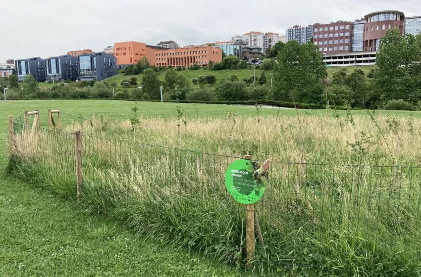  Santander Capital Natural alcanzará este mes los 28.000 ejemplares plantados