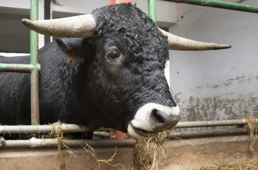  Desarrollo Rural abona más de 8,5 millones de euros alcanzando el 90 por ciento del primer saldo