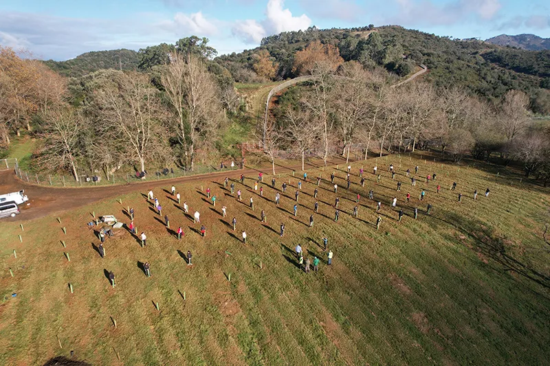 Noticias de Cantabria | El Cántabro | Cantur y Bosques de Cantabria plantarán 1.500 árboles autóctonos en el Parque de Cabárceno