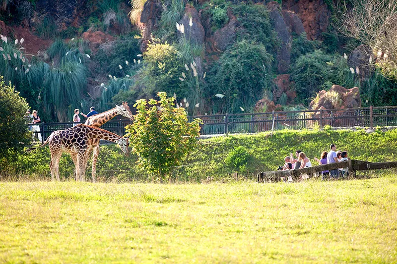 Cabárceno, Fuente Dé y El Soplao han recibido 51.833 visitantes esta Semana Santa, casi un 3% más que en 2024