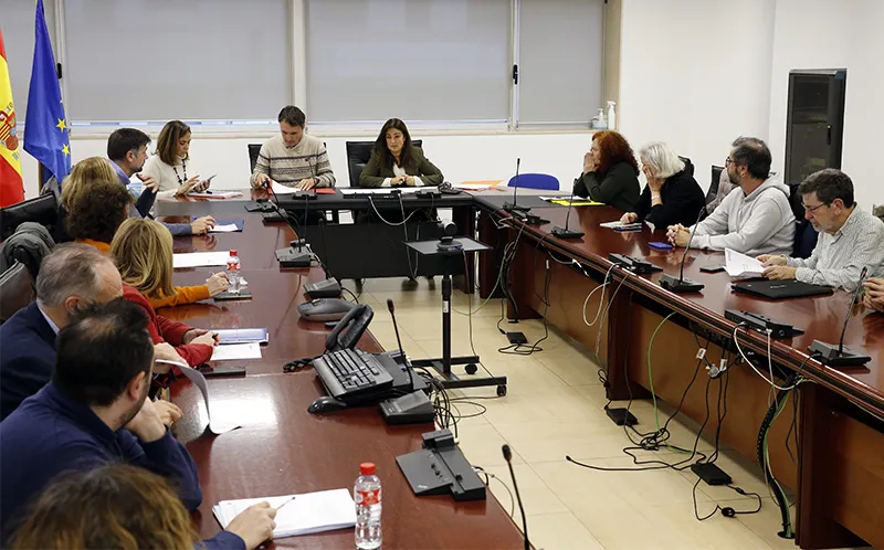  Gómez del Río presenta al Consejo Cántabro de Cooperación Internacional al Desarrollo el Plan Bienal 2025-2026 para impulsar una ayuda eficaz, inclusiva y sostenible