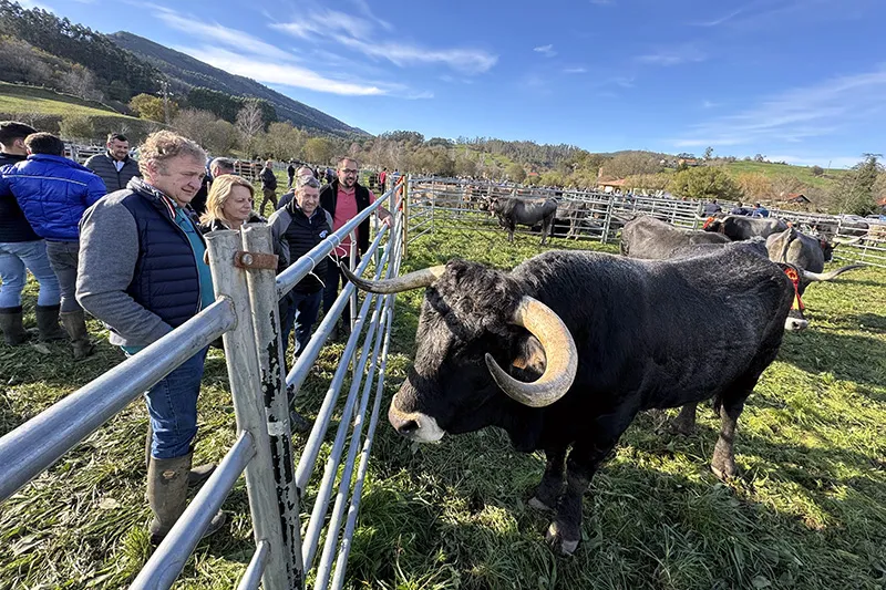 Noticias de Cantabria | El Cántabro | Susinos destaca el "alto nivel" de las explotaciones ganaderas cántabras y la "excelente" calidad de la cabañera ganadera de la región