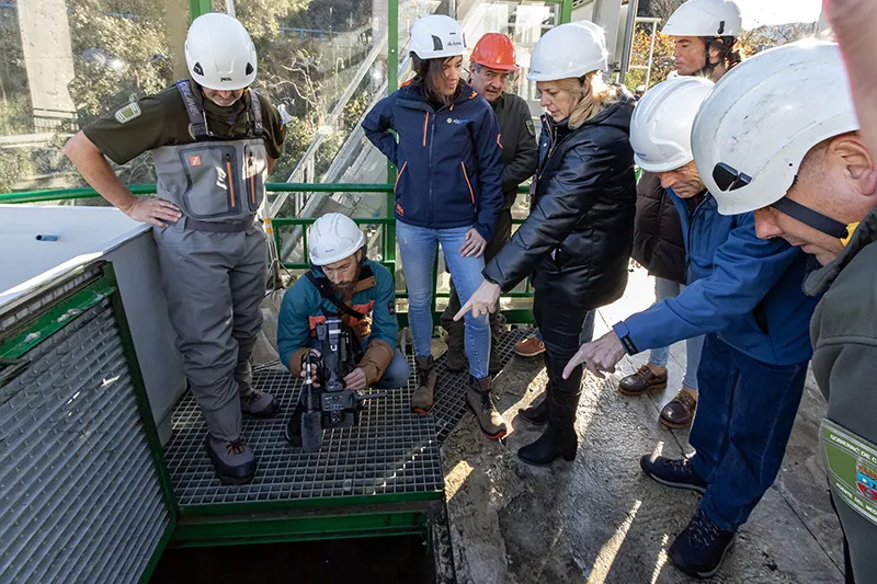  Susinos valora el programa de recuperación del salmón atlántico para que esta especie siga aportando valor a nuestros ríos