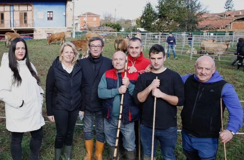 Noticias de Cantabria | El Cántabro | La concentración ganadera y el tradicional arrastre se han dado cita este pasado domingo 13. en la Feria de San Antonio Abad en la Abadilla de Cayón