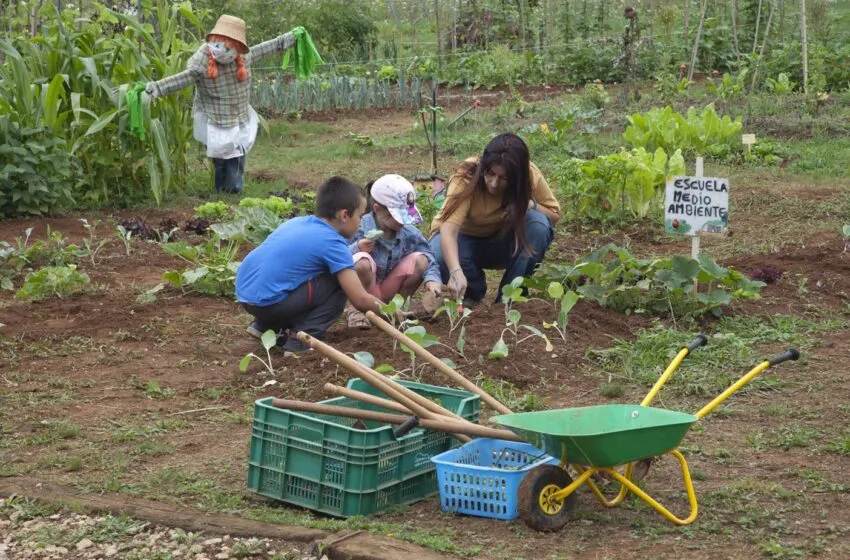 Noticias de Cantabria | El Cántabro | La Escuela de Medio Ambiente del Ayuntamiento ofrece ocho itinerarios formativos a los centros educativos de Camargo