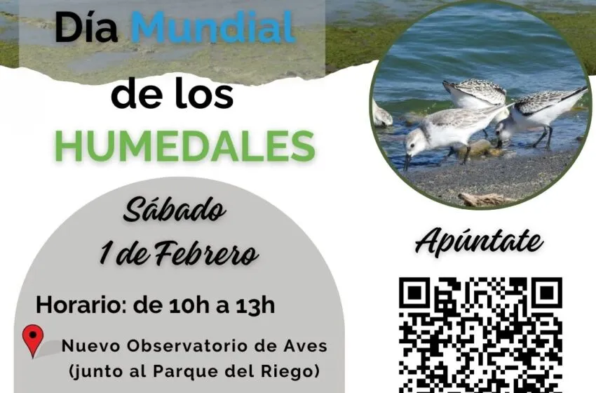  El ayuntamiento de Colindres celebra el Día Mundial de los Humedales con una ruta ornitológica
