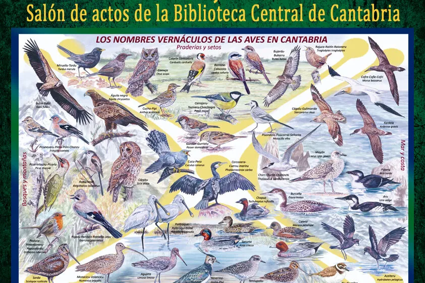  La Asociación para la Defensa de los Intereses de Cantabria (ADIC) presenta un cartel sobre los nombres vernáculos de las aves
