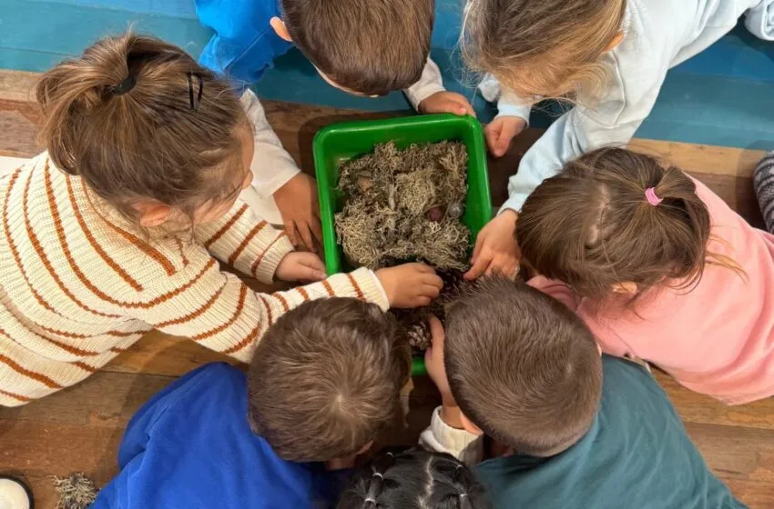 Éxito de participación en los Talleres Infantiles organizados por el Ayuntamiento de Suances
