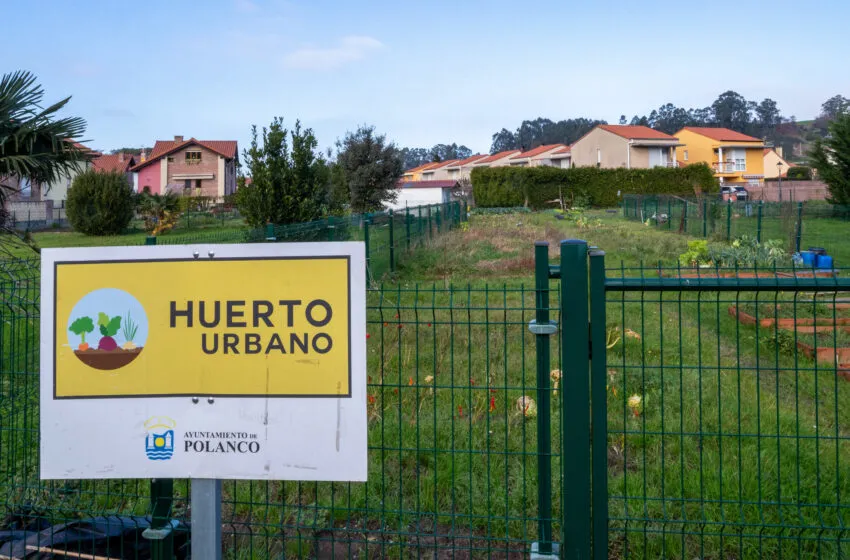Polanco amplía su proyecto de huertos urbanos comprando dos nuevas fincas