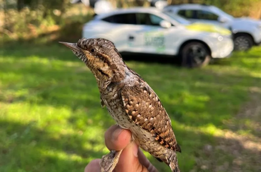  Steps for LIFE arranca su agenda de actividades en la naturaleza para el primer semestre del año