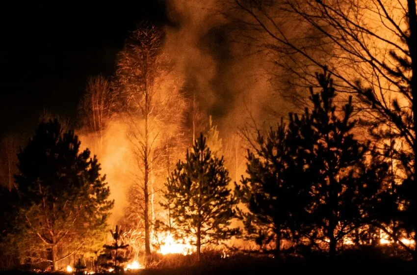 Cuatro incendios forestales en Cantabria: uno extinguido y tres controlados