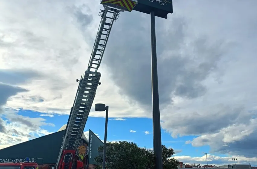  El fuerte viento provoca la caída de árboles y carteles, sin daños personales