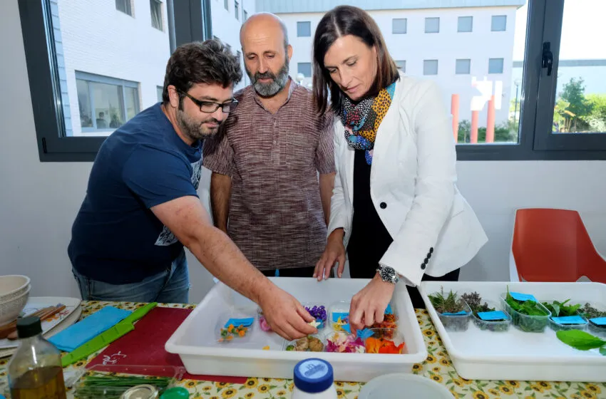  Continuará la asistencia a los animales de compañía de los usuarios del centro Princesa Letizia