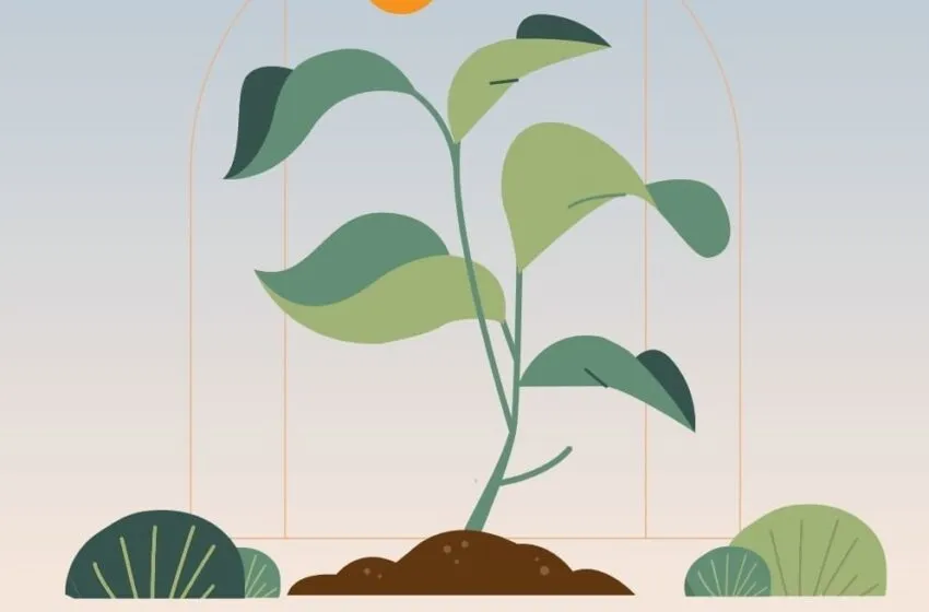  El lunes comienza el reparto de 2.418 árboles dentro de la Campaña ‘Siembra futuro, planta un árbol’