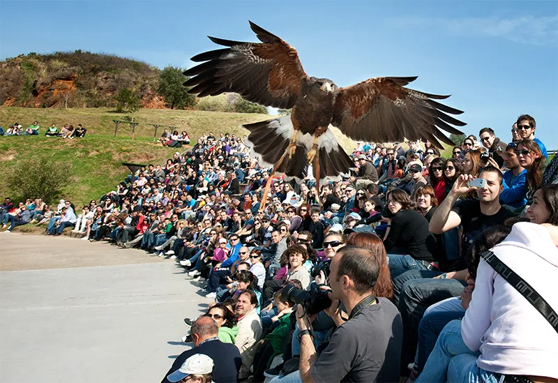 Noticias de Cantabria | El Cántabro | El Parque de la Naturaleza de Cabárceno bate por tercer año consecutivo su récord histórico con 671.694 visitantes en 2024