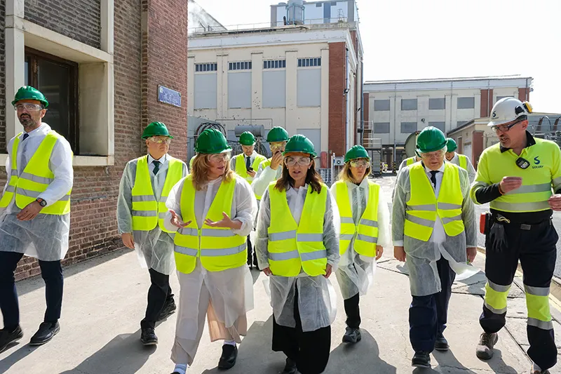  El Gobierno de Cantabria declara de «carácter estratégico» el proyecto de cogeneración de biomasa de Solvay