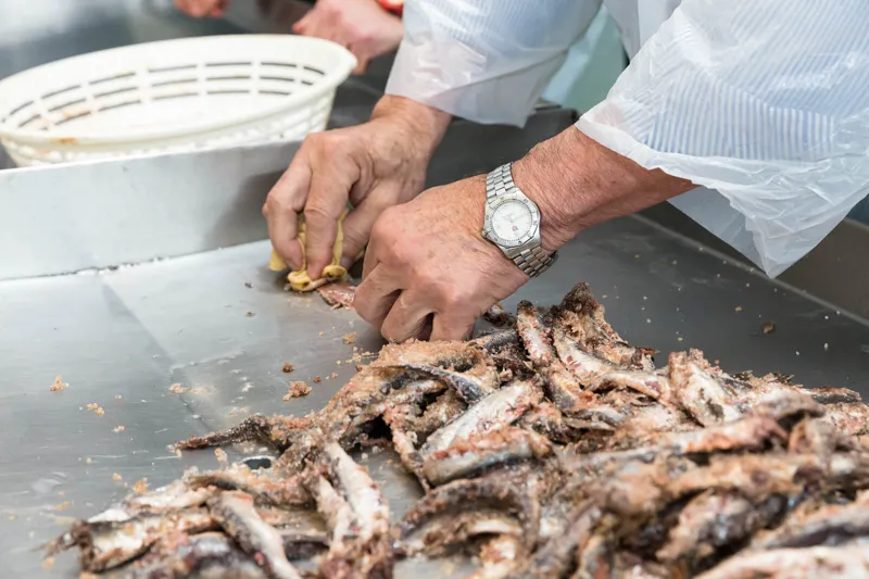  El BOC publica los beneficiarios de las ayudas destinadas a empresas de transformación y comercialización de productos de pesca y acuicultura