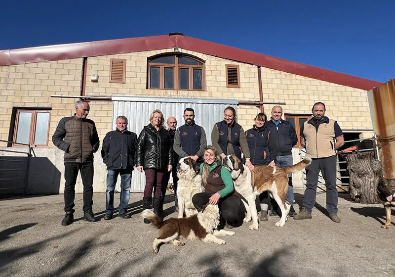  Susinos destaca la importancia de impulsar el relevo generacional en el sector primario en su visita a la ganadería Val del Mazo