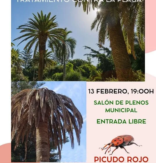  Charla informativa sobre el tratamiento contra la plaga del Picudo Rojo en Cayón