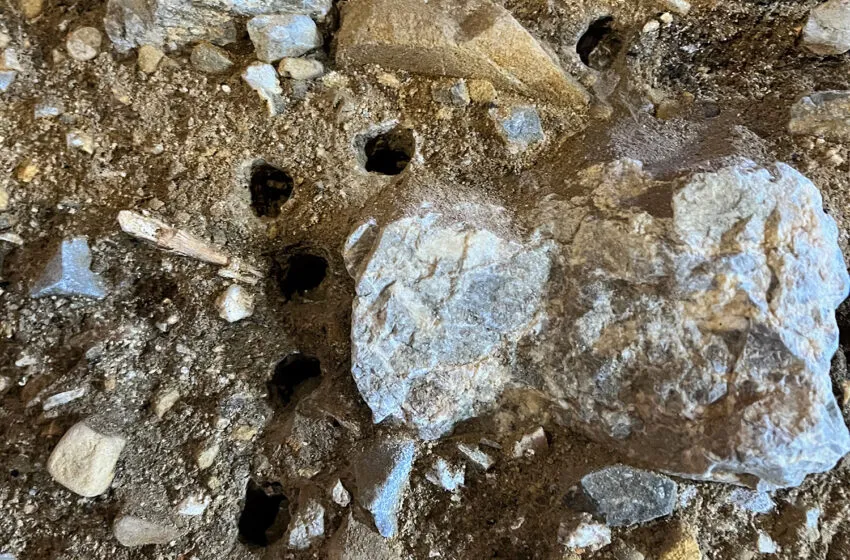  La UC participa en un estudio internacional que recupera ADN humano y animal en el sedimento de la Cueva de El Mirón