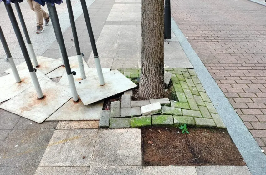  TORRELAVEGA SÍ URGE MEDIDAS DE REPARACIÓN DE LOS ALCORQUES