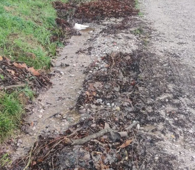  El PP de Torrelavega insta a PRC-PSOE a realizar tareas de acondicionamiento en la carretera de acceso a las casas de la zona de la Montaña