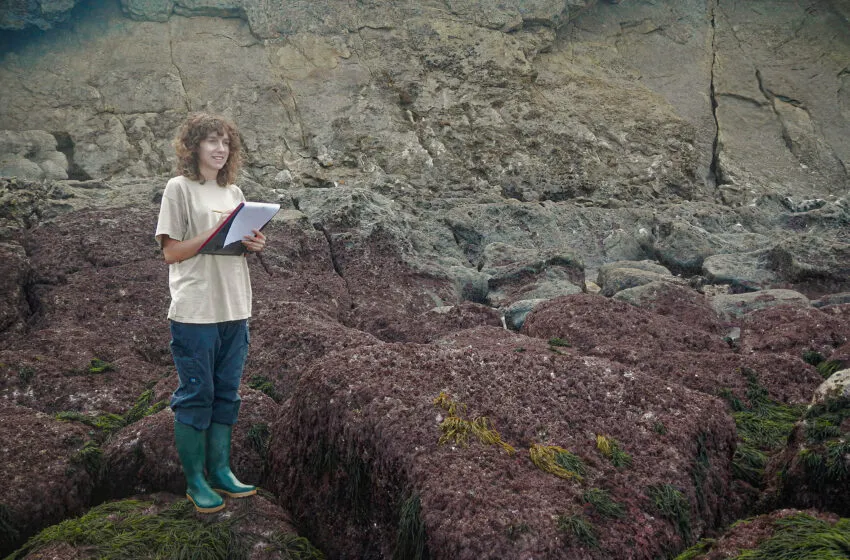  IHCantabria participa en un estudio que desarrolla productos basados en datos interoperables para mejorar la conservación de la biodiversidad marina