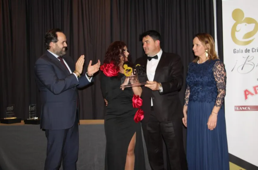 Rubén Sánchez y su caniche gigante ‘Norte’ premiados en la I Gala de Criadores de España
