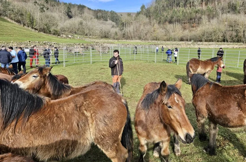  Ganadería convoca las ayudas para la celebración de ferias y concursos de ganado selecto en Cantabria