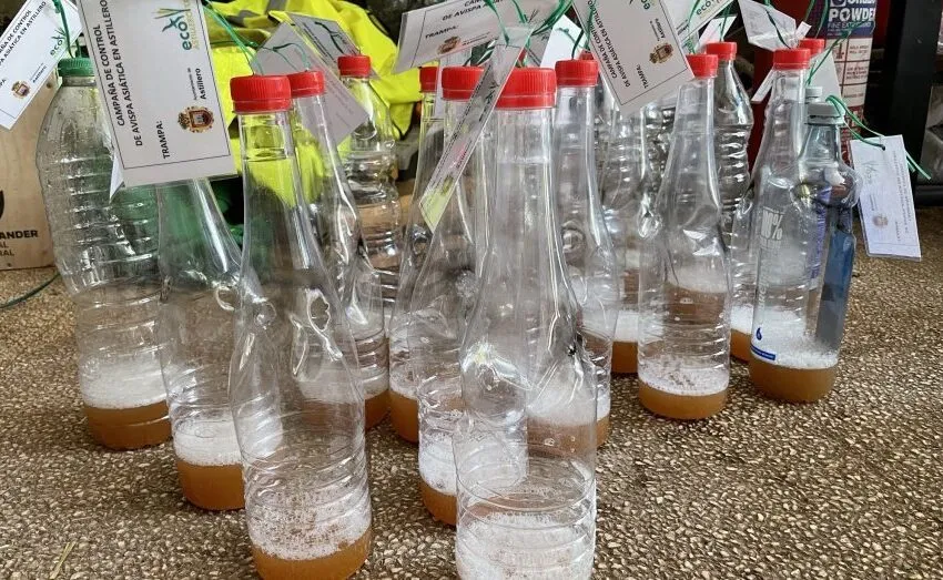  EL AYUNTAMIENTO DE ASTILLERO REPARTE TRAMPAS PARA AVISPA ASIÁTICA