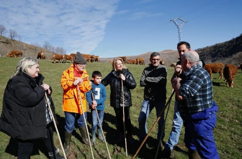  La consejera de Ganadería asiste a la Feria de Hornero en la localidad de Los Tojos