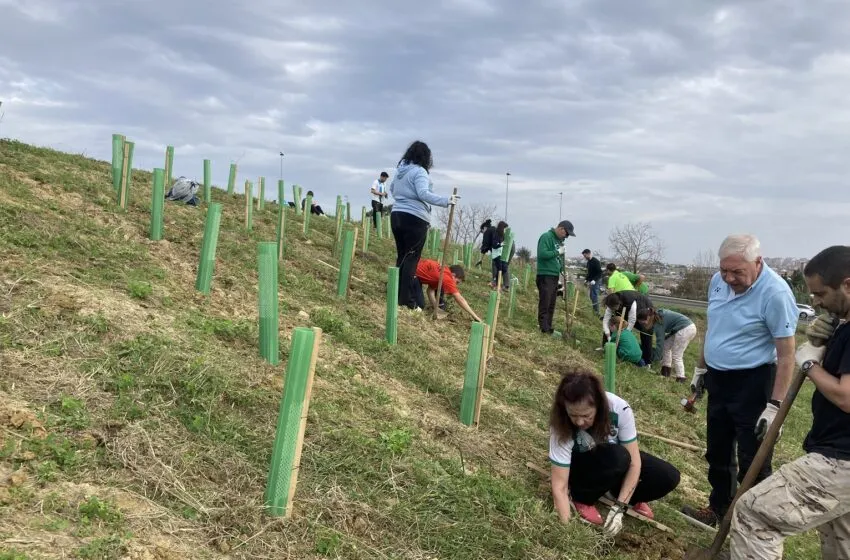  Santander Capital Natural propone tres actividades de voluntariado en febrero