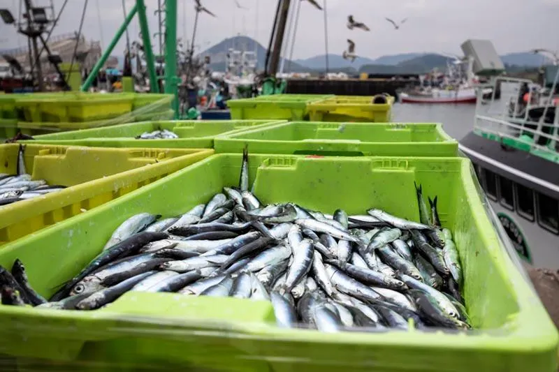  El Gobierno convoca las ayudas por 230.000 euros para inversiones en las cofradías de pescadores
