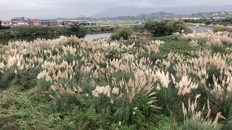  El Gobierno destinará 366.000 euros en ayudas dirigidas a los ayuntamientos que participen en la elaboración de un inventario de áreas degradadas