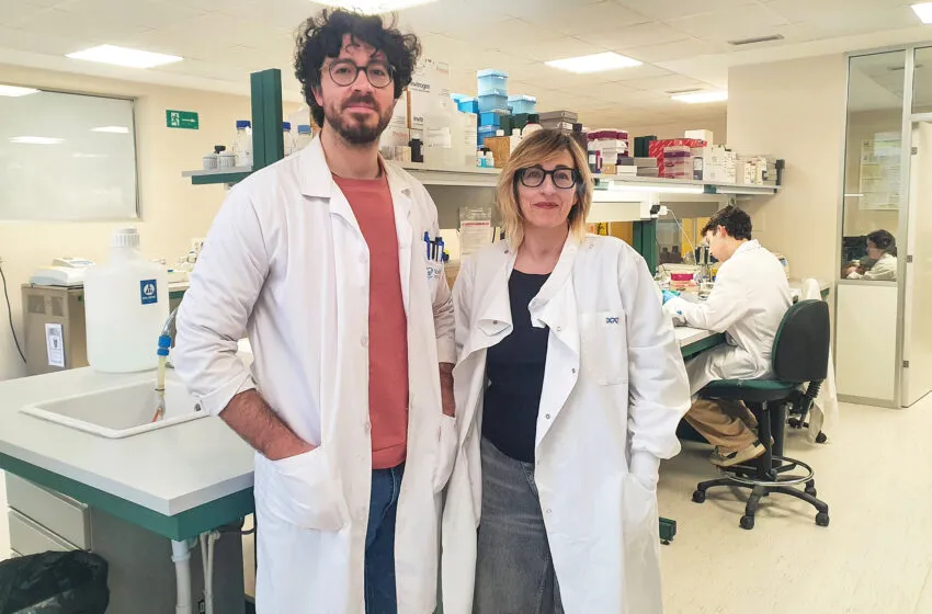  Científicos UC diseñan una nueva terapia para la osteoporosis a partir del secretoma de Células Madre Mesenquimales