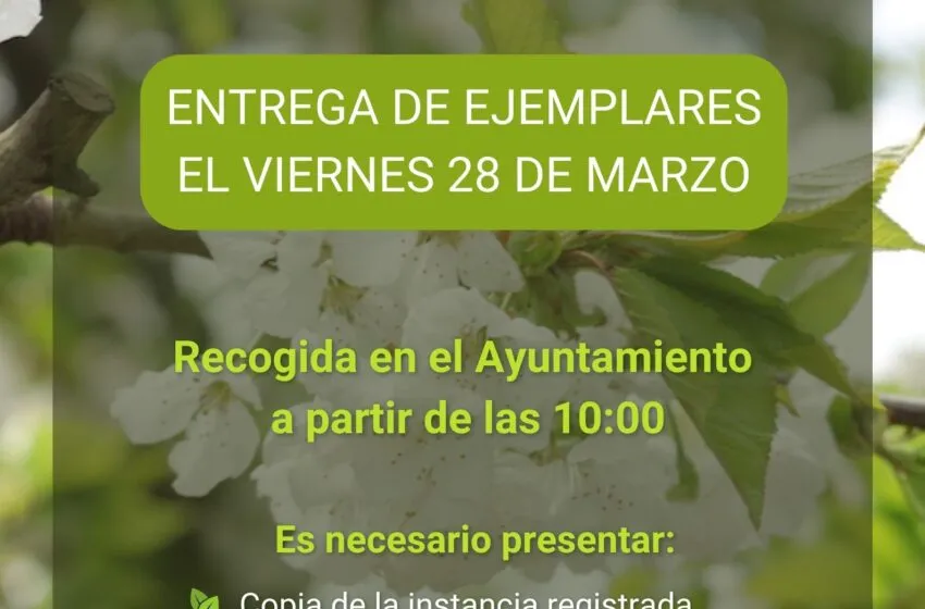  Entrega de los ejemplares de árboles frutales, el viernes 28 de marzo