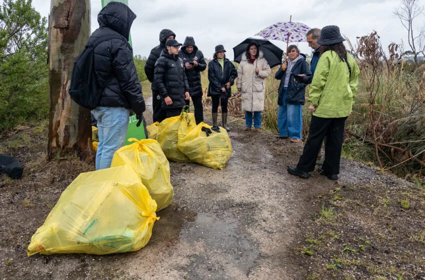 Polanco participa en la campaña de retirada de basuraleza en la ría de Requejada