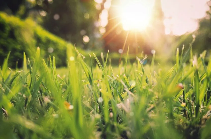 Noticias de Cantabria | El Cántabro | Ya es primavera