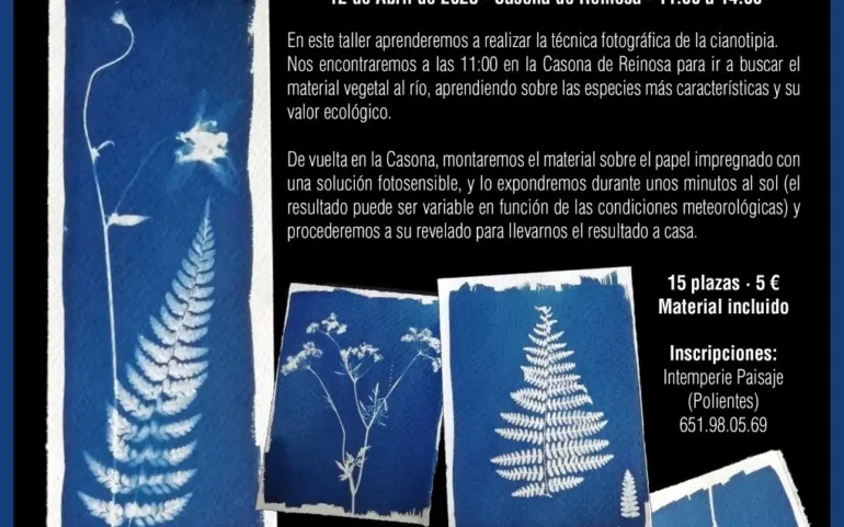  La Concejalía de Medio Ambiente organiza un Taller de Cianotipia