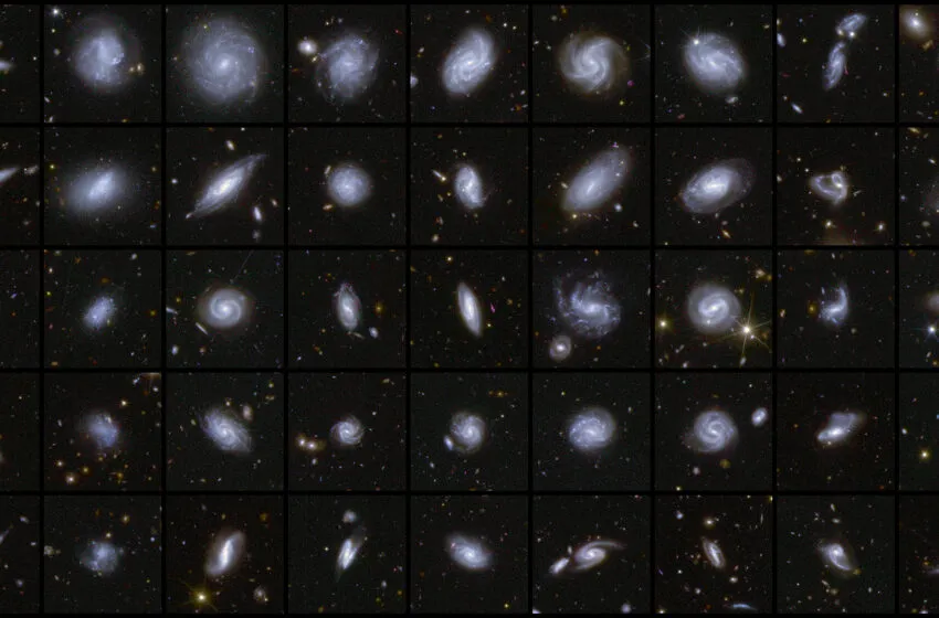 Noticias de Cantabria | El Cántabro | El IFCA contribuye a los últimos avances de la misión Euclid en la exploración del universo oscuro
