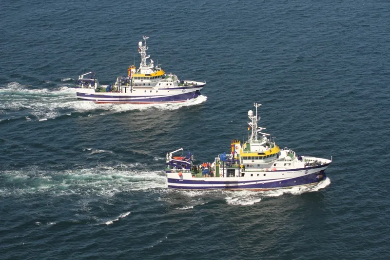 Noticias de Cantabria | El Cántabro | Cultura presenta la exposición temporal: '12 meses, 12 peces: Investigando la vida salvaje de los peces en el mar Cantábrico' en el Museo Marítimo del Cantábrico