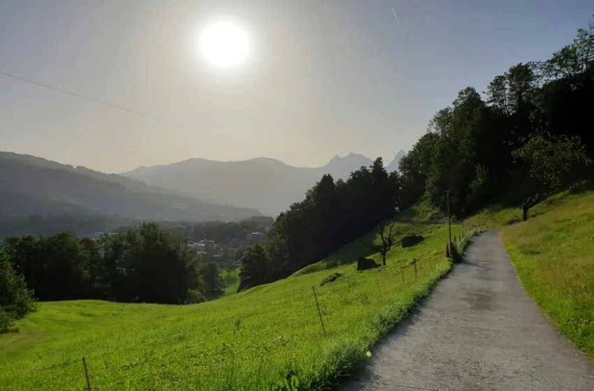  Desarrollo Rural invertirá 2,5 millones en la reparación y ejecución de 65 caminos municipales