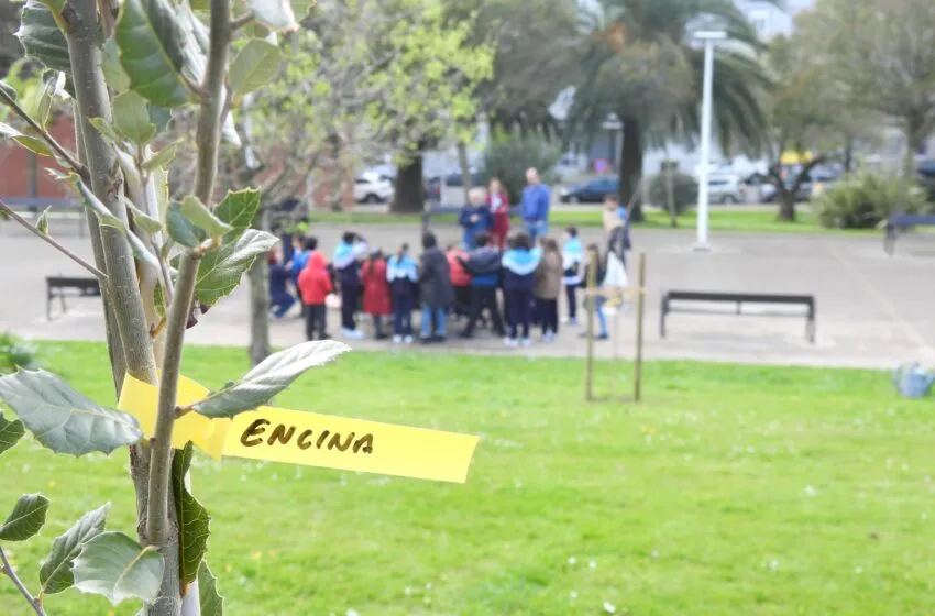 Noticias de Cantabria | El Cántabro | Escolares santanderinos apadrinan árboles con motivo del Día Forestal Mundial