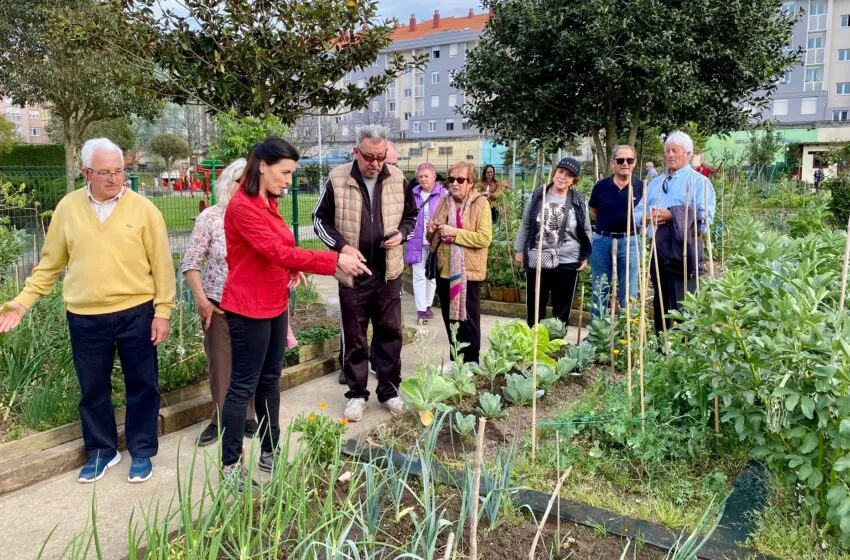 Noticias de Cantabria | El Cántabro | Aprobado el proyecto para implantar huertos urbanos en la calle Río Cubas